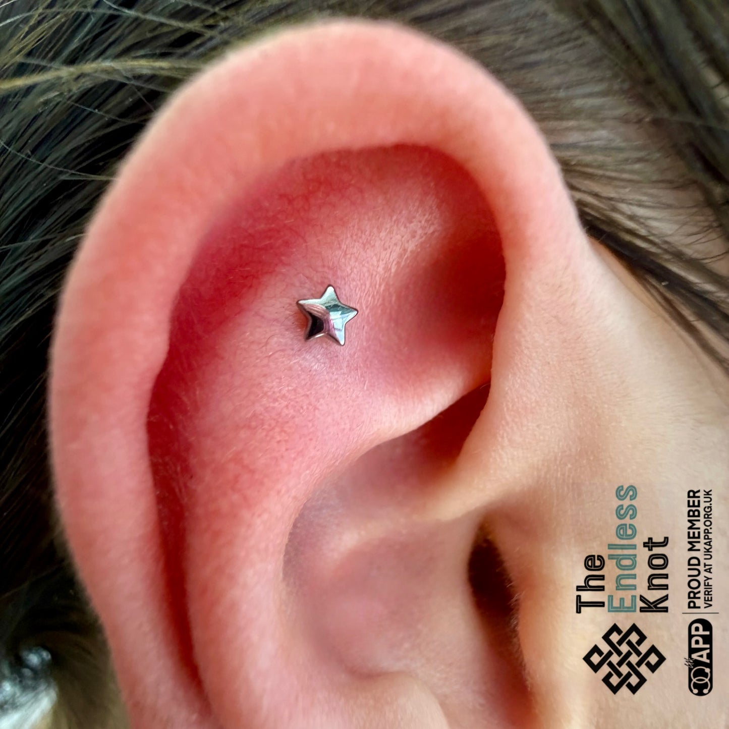 Ear cartilage (with labret)
