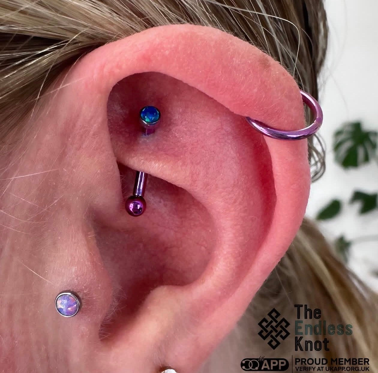 Curved barbell in ear