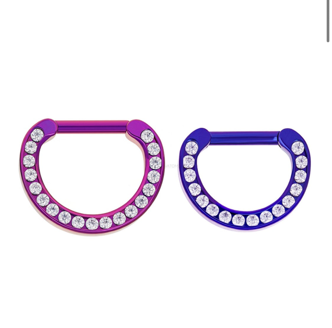 Ti hinge ring with CZs