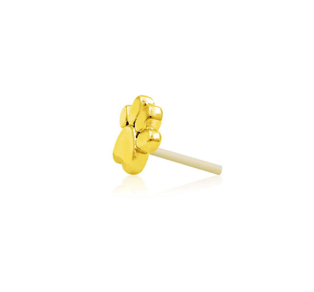 Gold dog paw