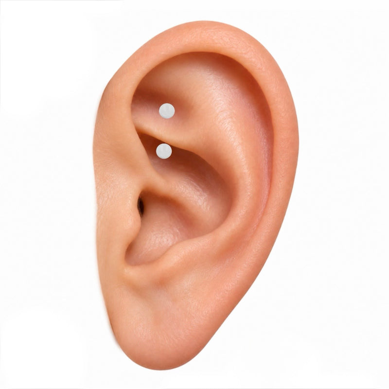 Rook