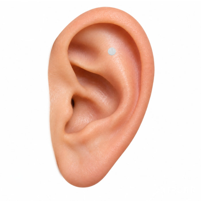 Flat / Scapha / Outer conch
