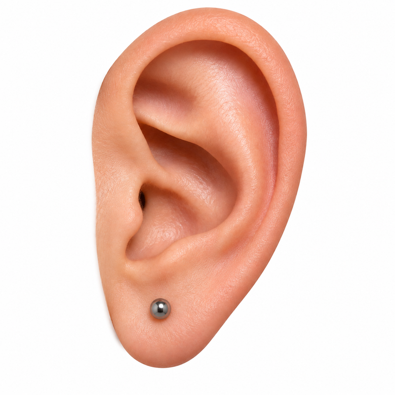 Lobe
