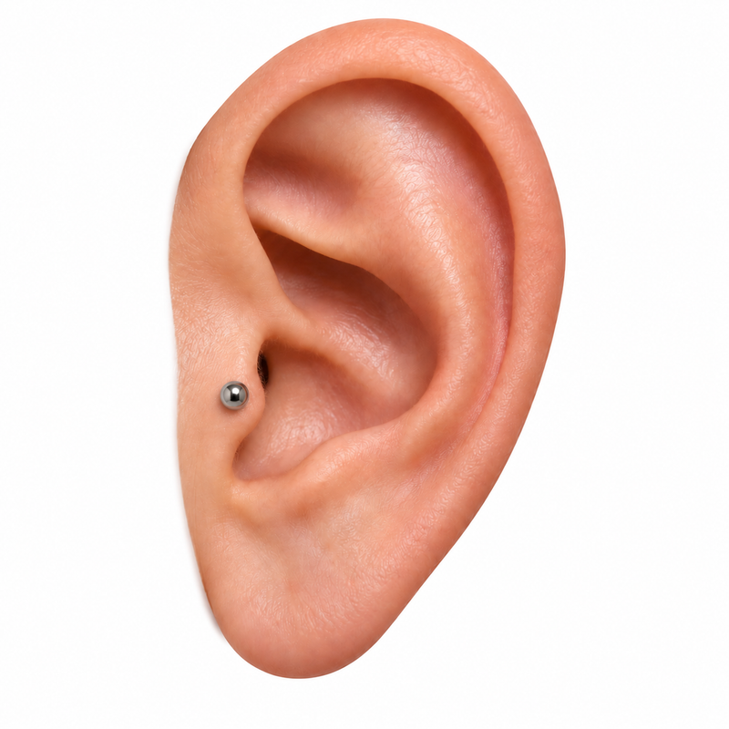 Tragus