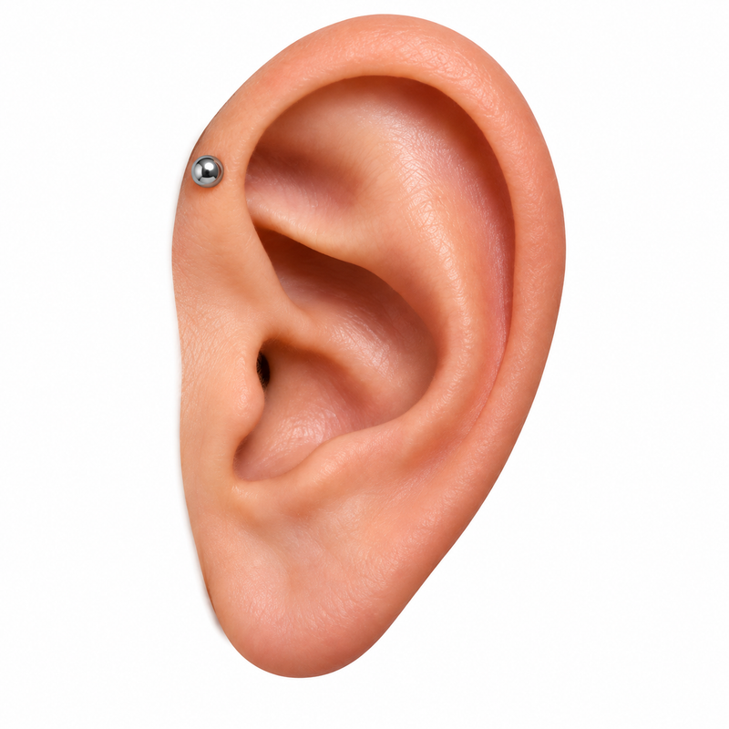 Forward helix