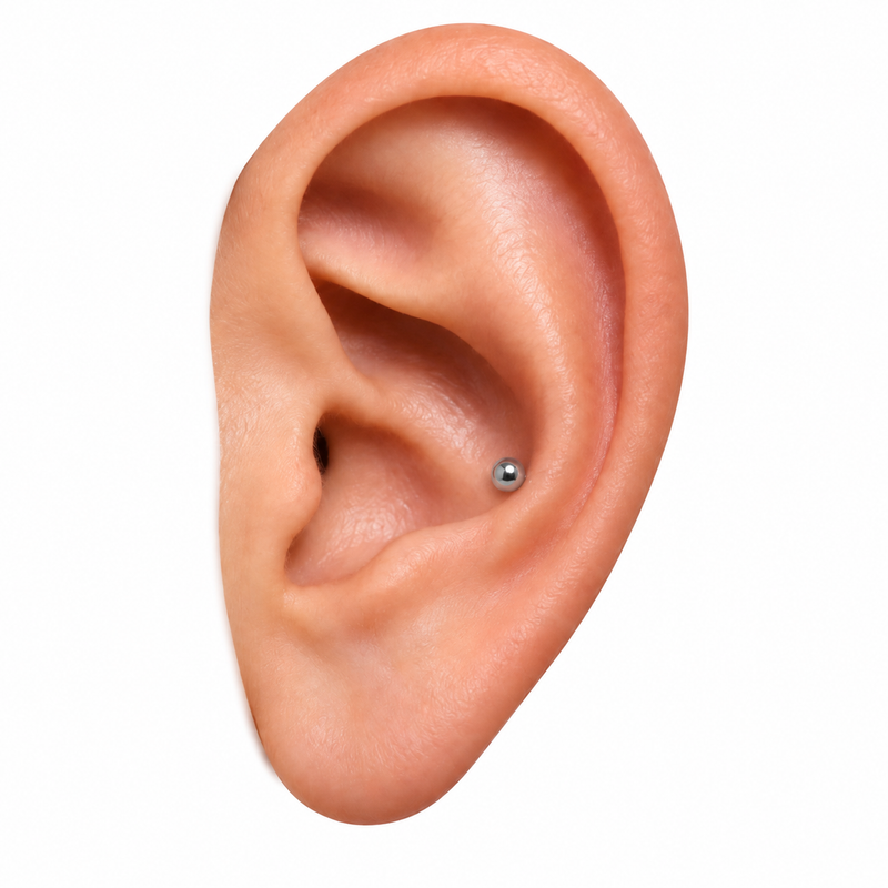 Conch