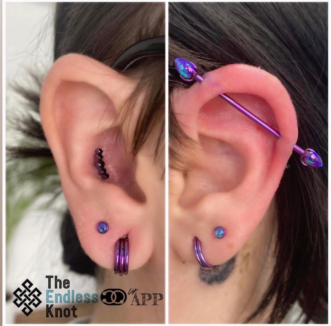 Straight barbell in ear ￼