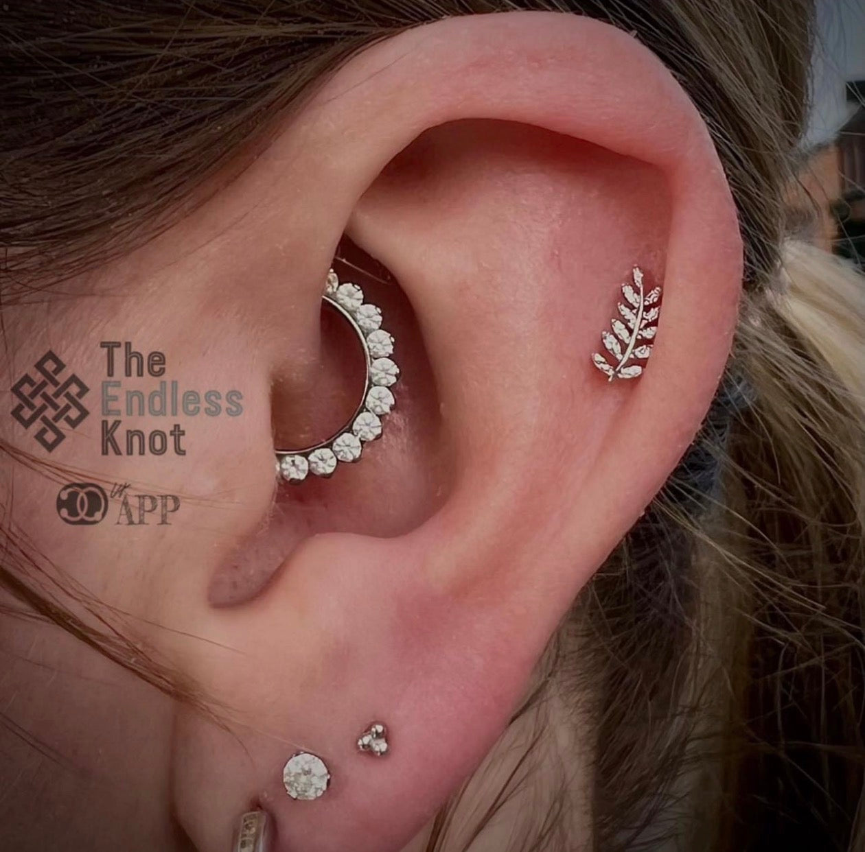 Septum / Daith