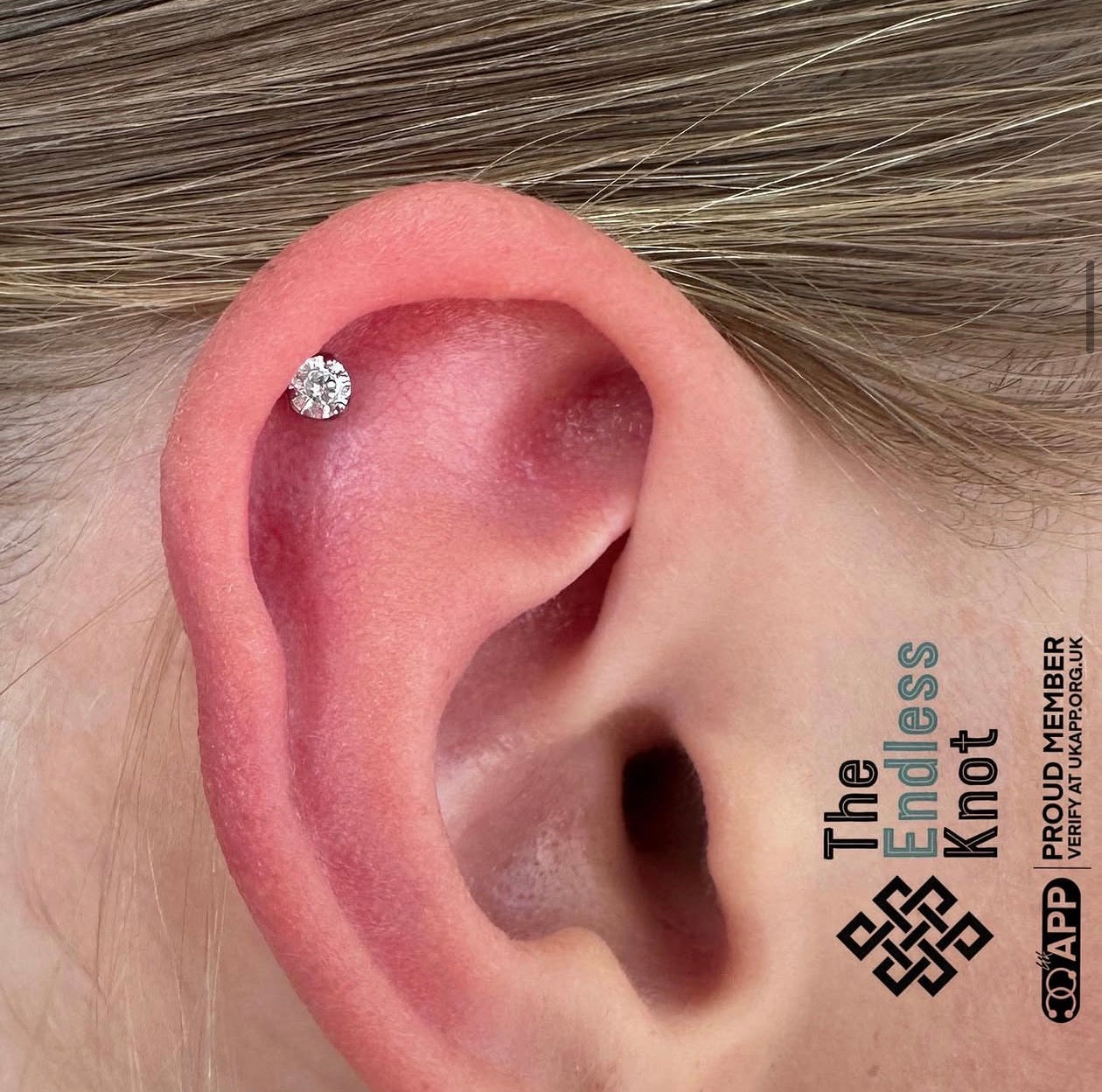 Oorkraakbeen (met labret)