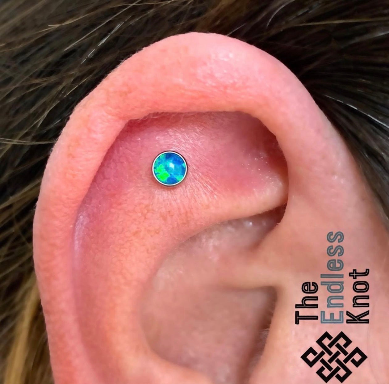 Oorkraakbeen (met labret)