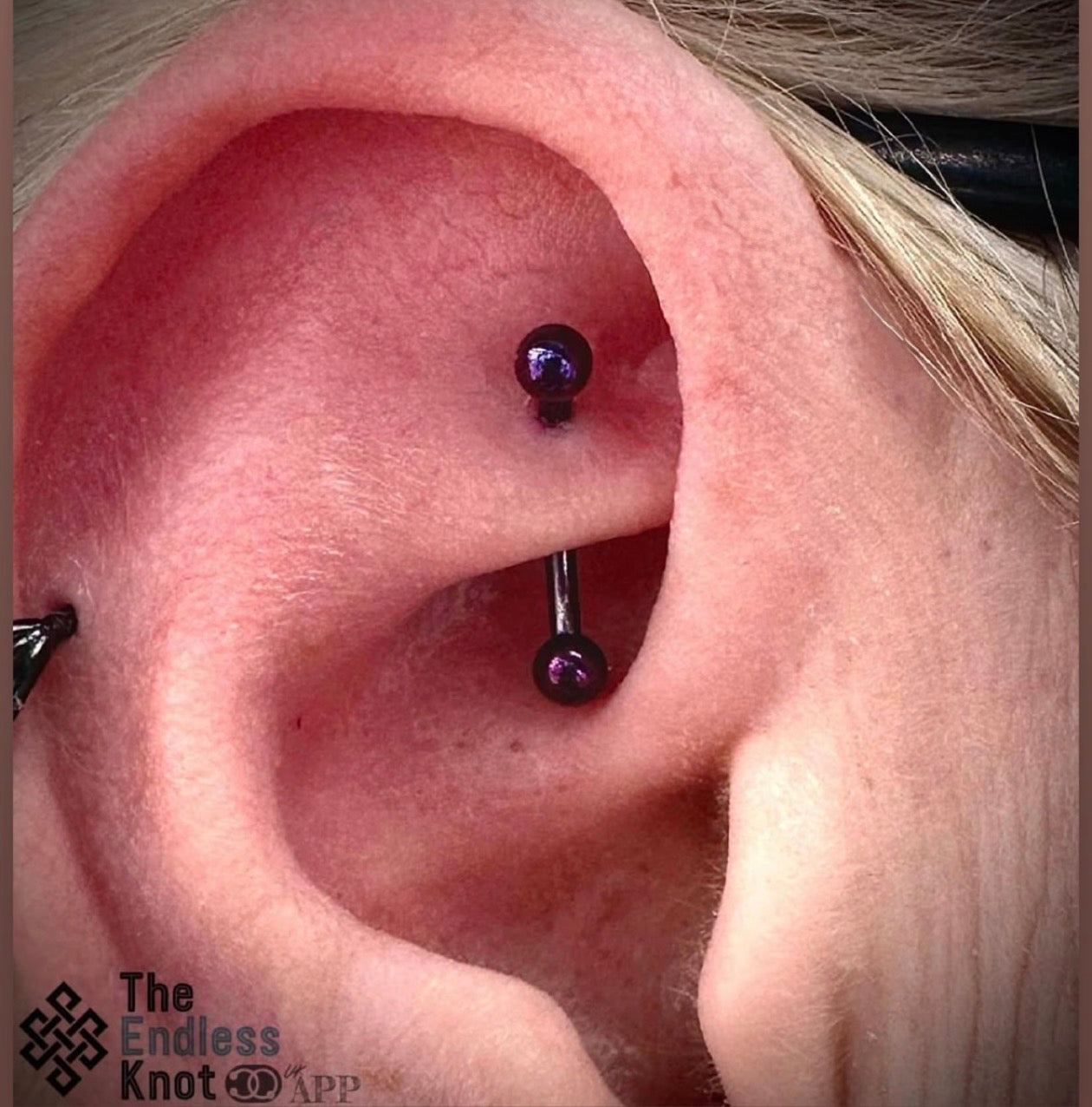 Curved barbell in ear