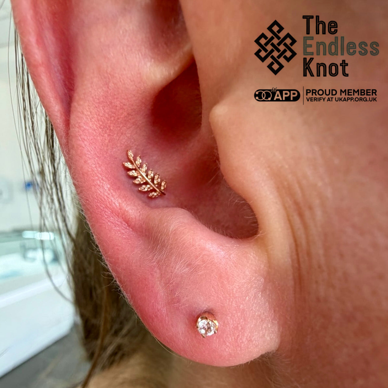 Ear cartilage (with labret)