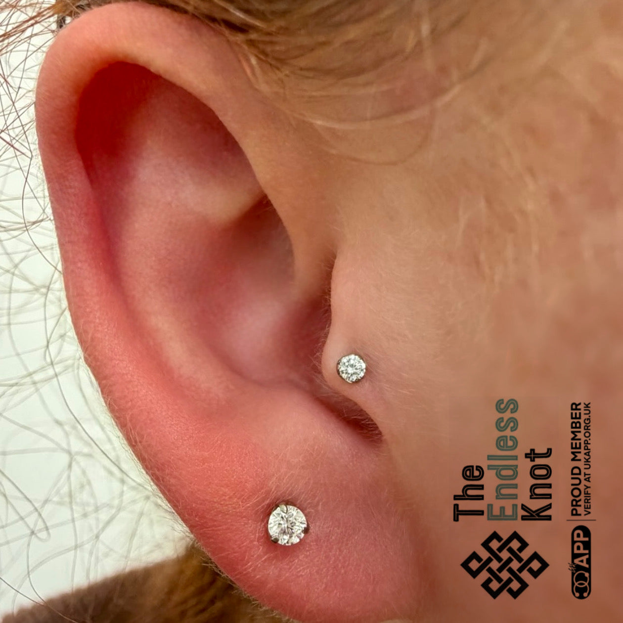 Ear cartilage (with labret)