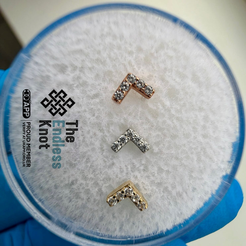 雪佛龍捷克分公司