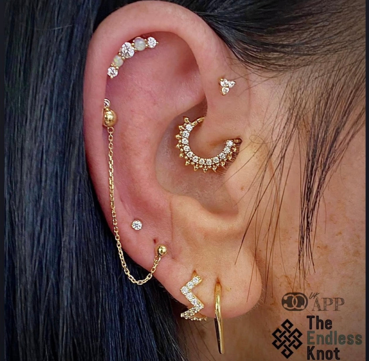 Septum / Daith