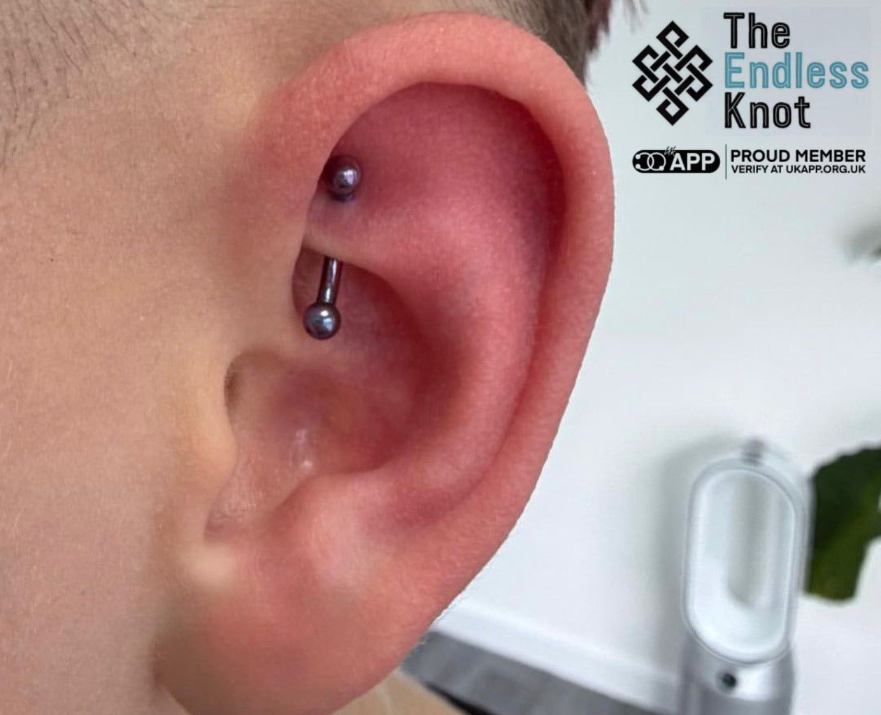 Curved barbell in ear