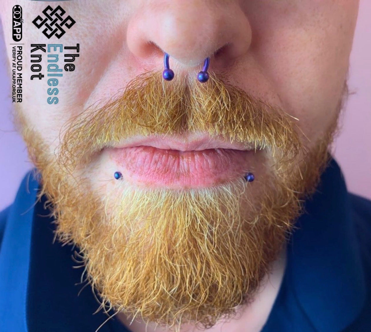 Septum / Daith