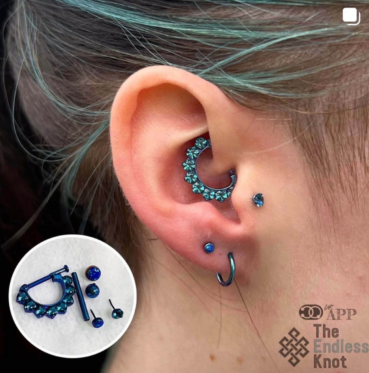Septum / Daith