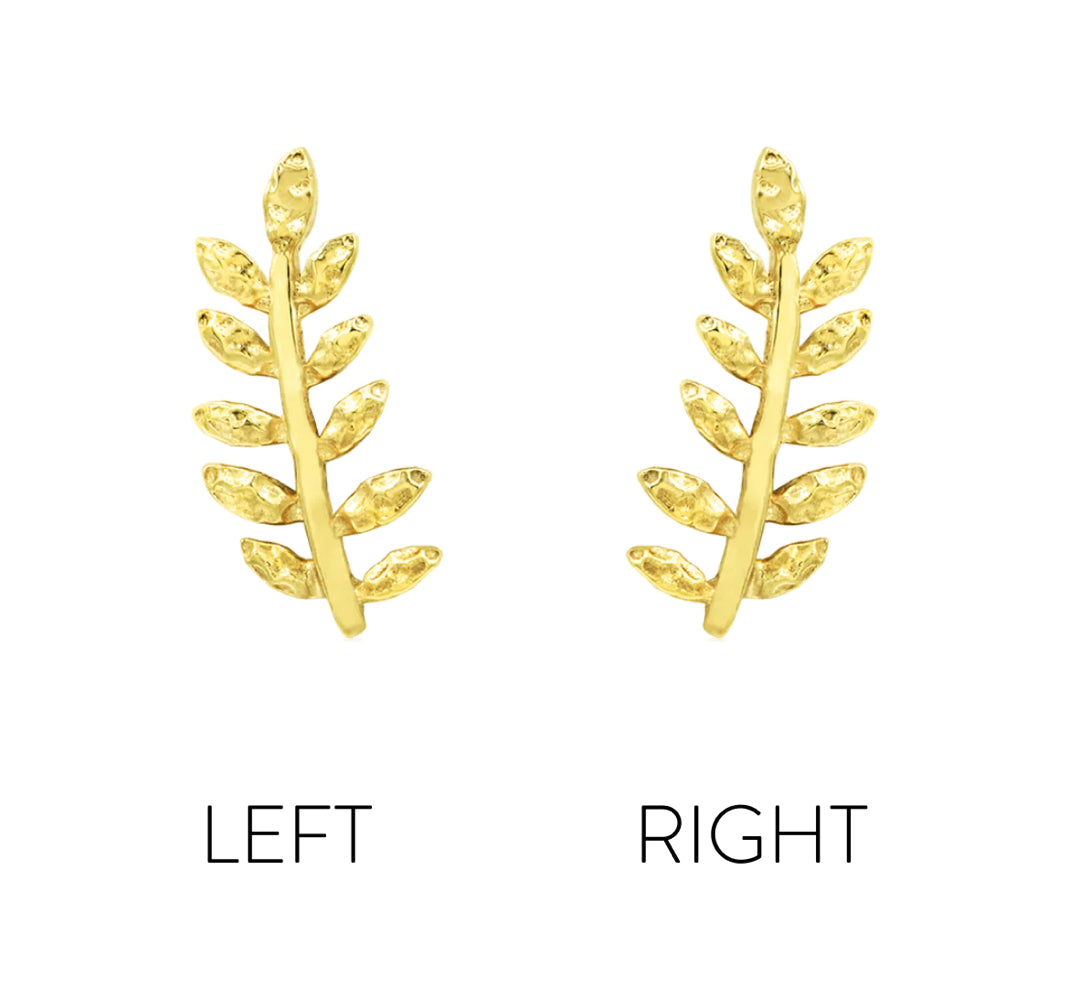 Willow (attachment)