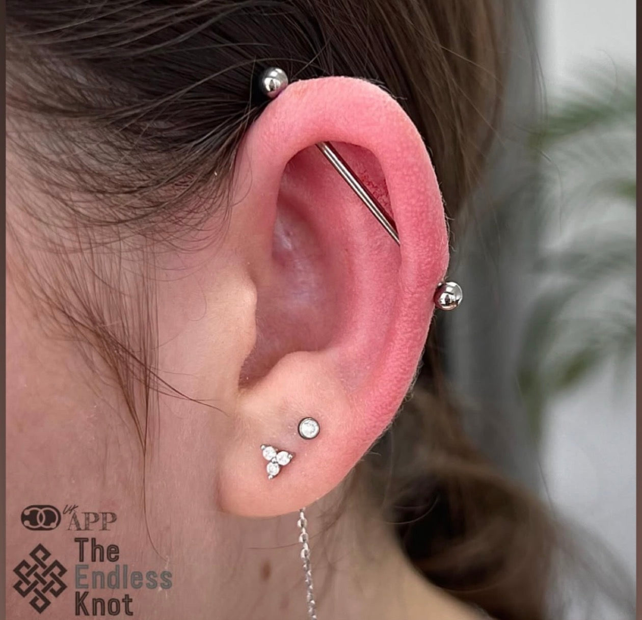 Straight barbell in ear ￼