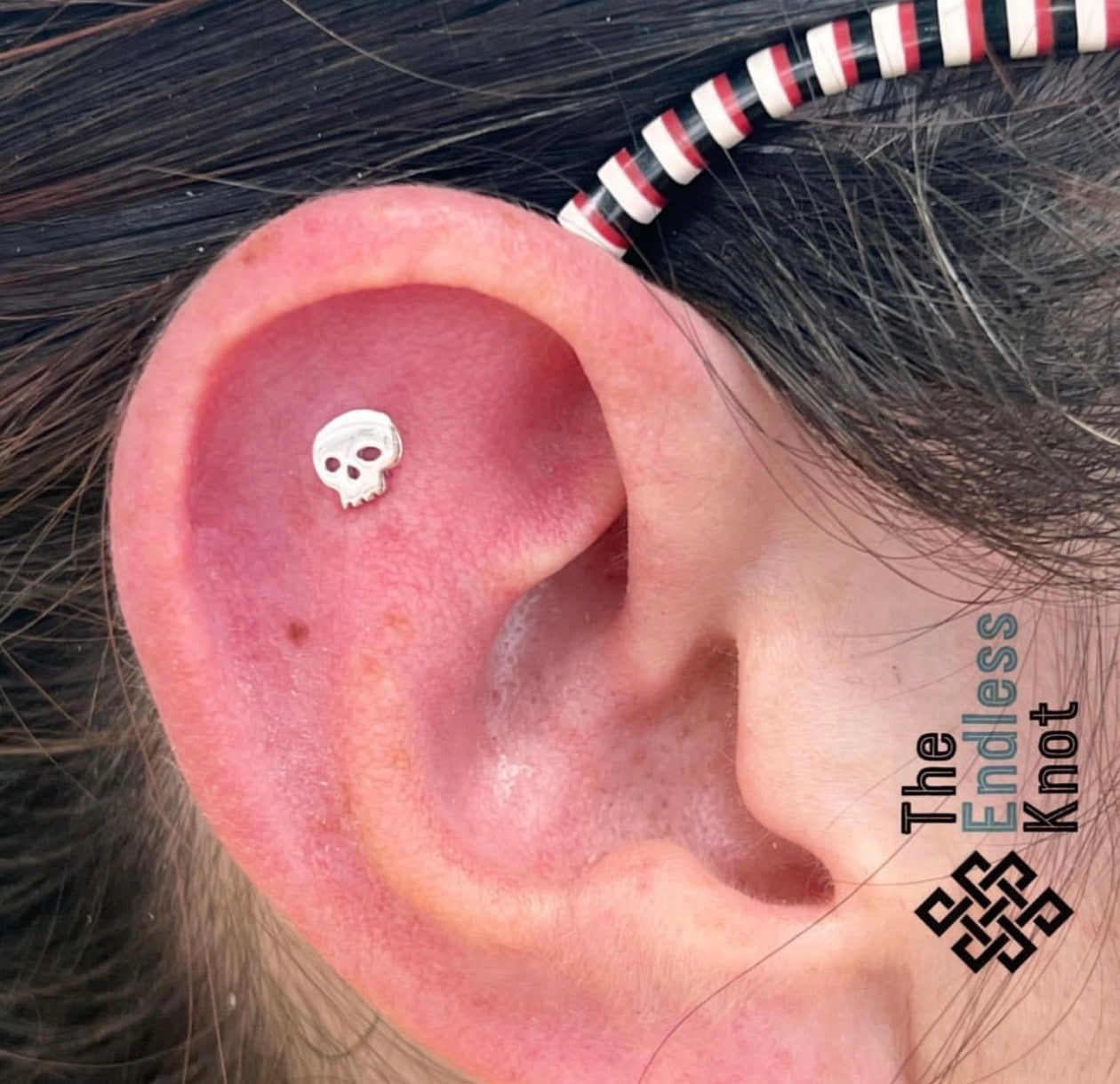 Oorkraakbeen (met labret)