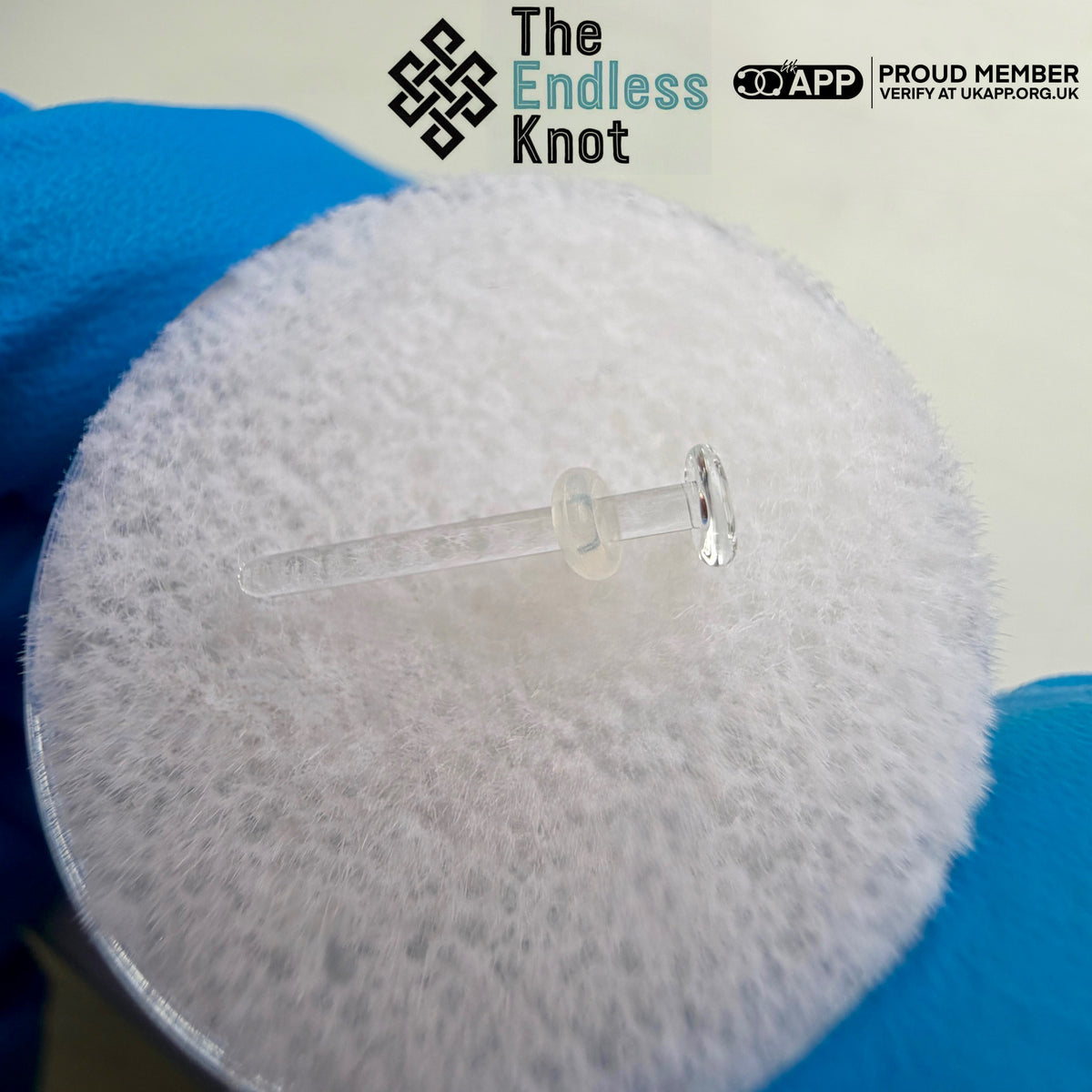 Glass labret (retainer)