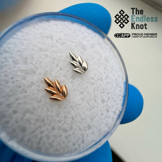 Fernanda (attachment)