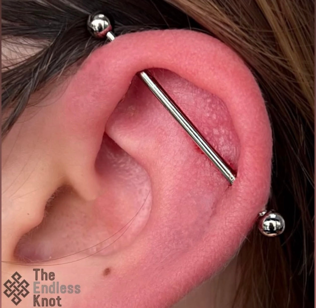 Straight barbell in ear ￼