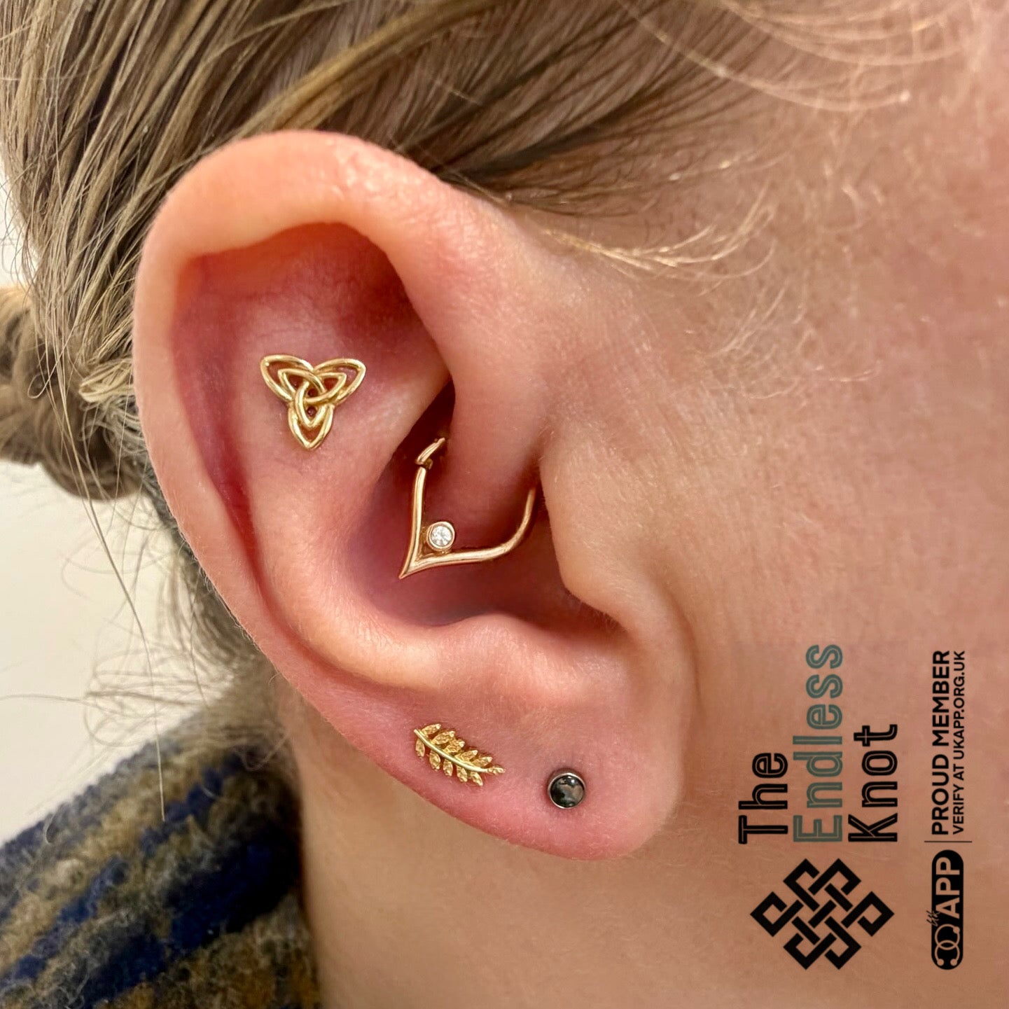 Septum / Daith