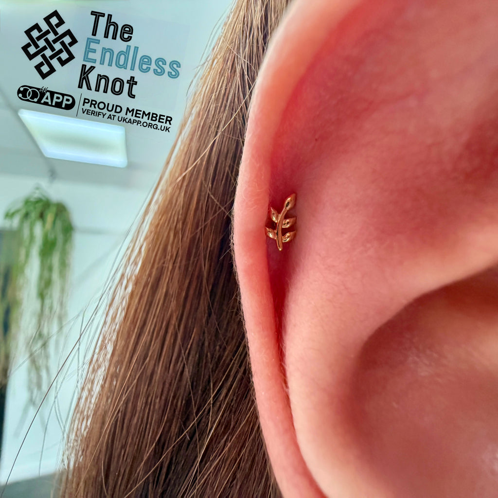 Classic Piercing Appointment