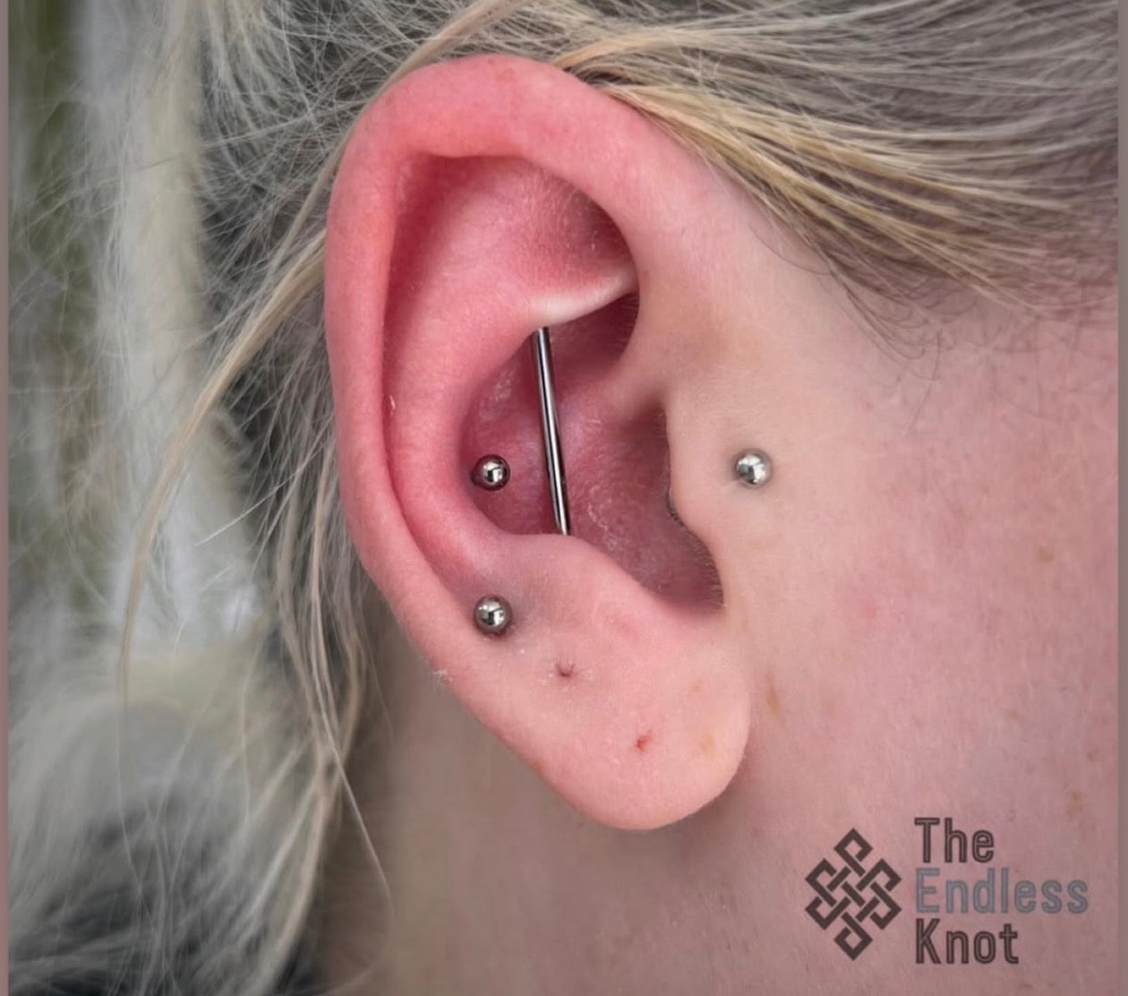 Straight barbell in ear ￼
