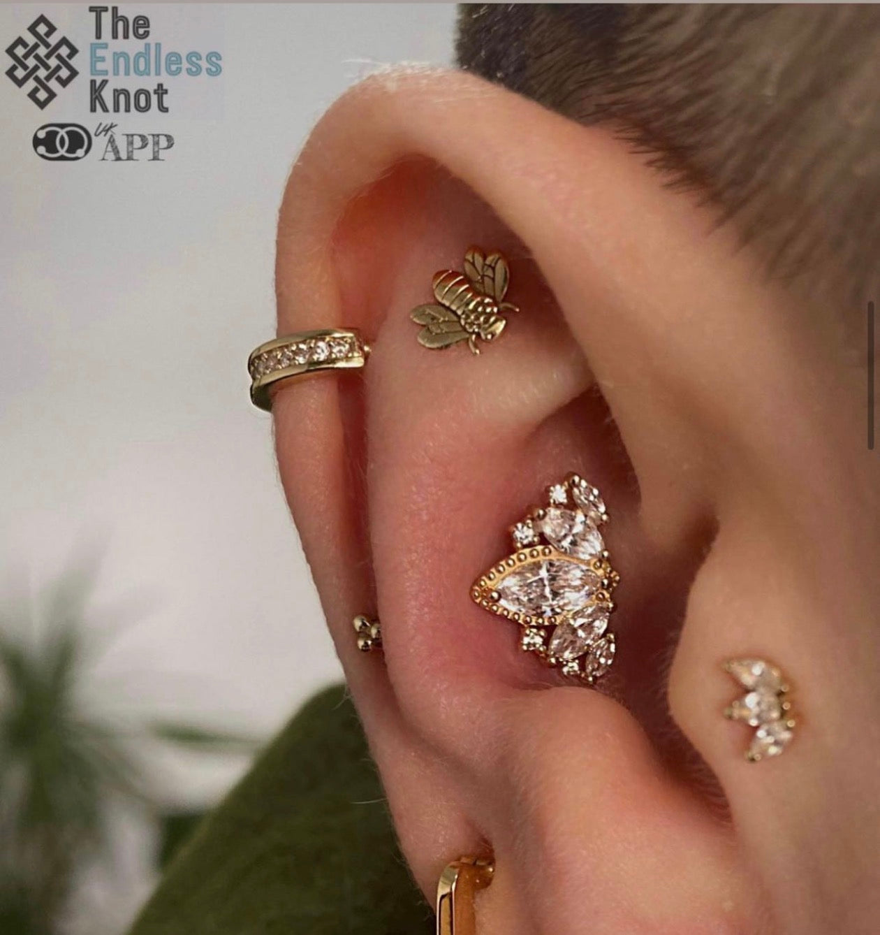 Oorkraakbeen (met labret)