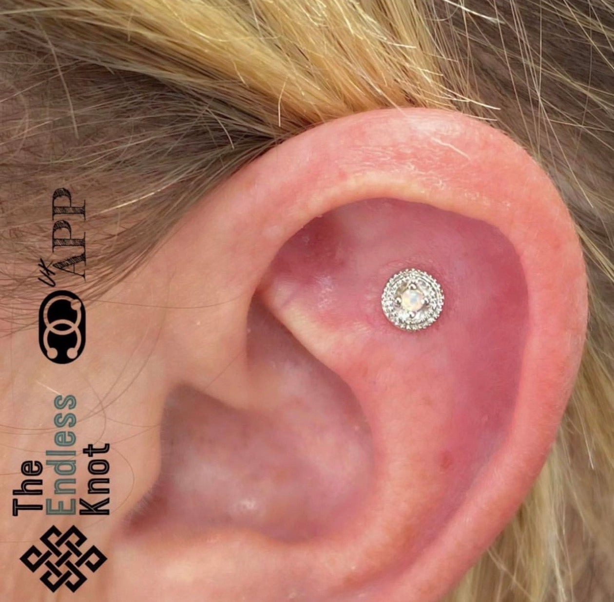 Oorkraakbeen (met labret)