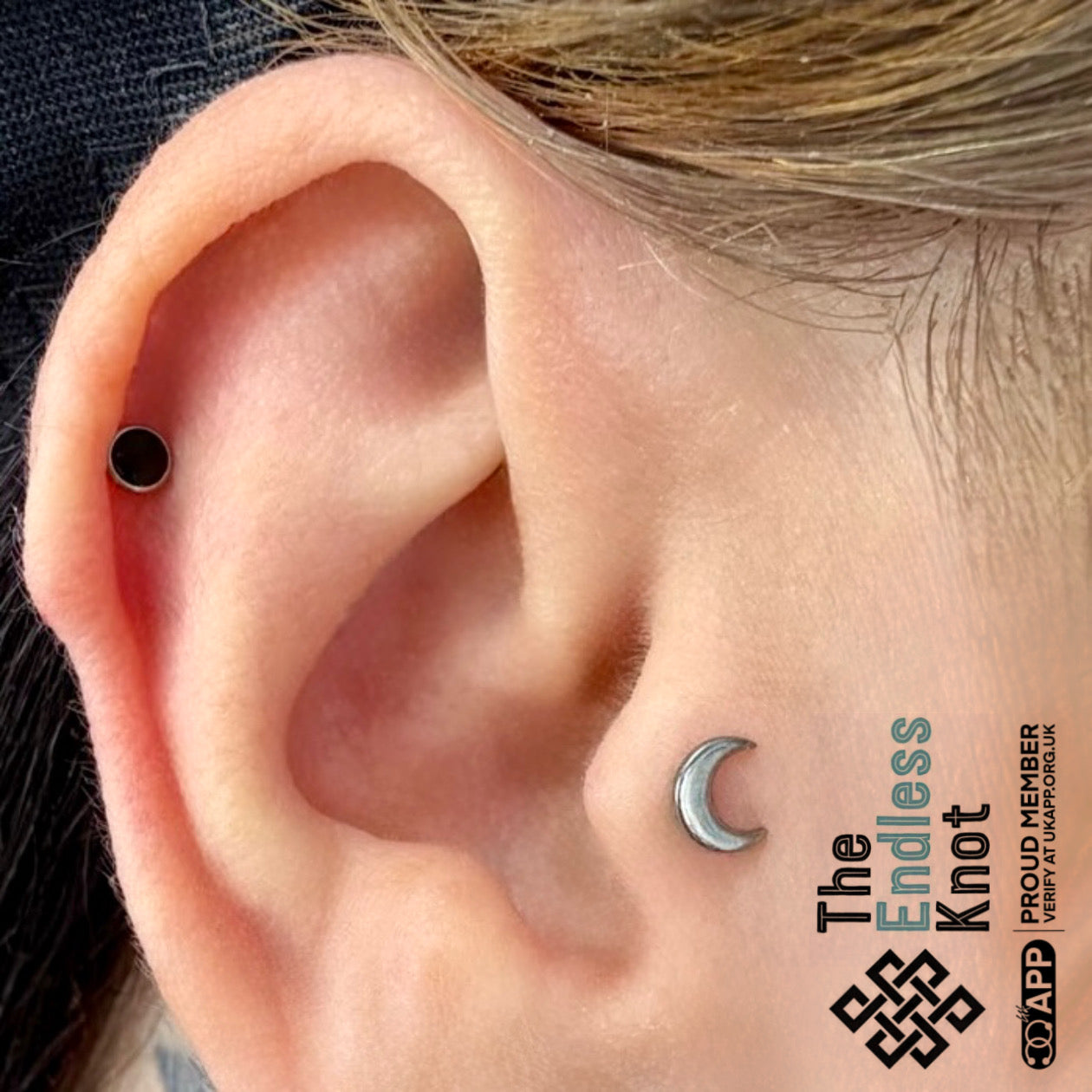 Ear cartilage (with labret)