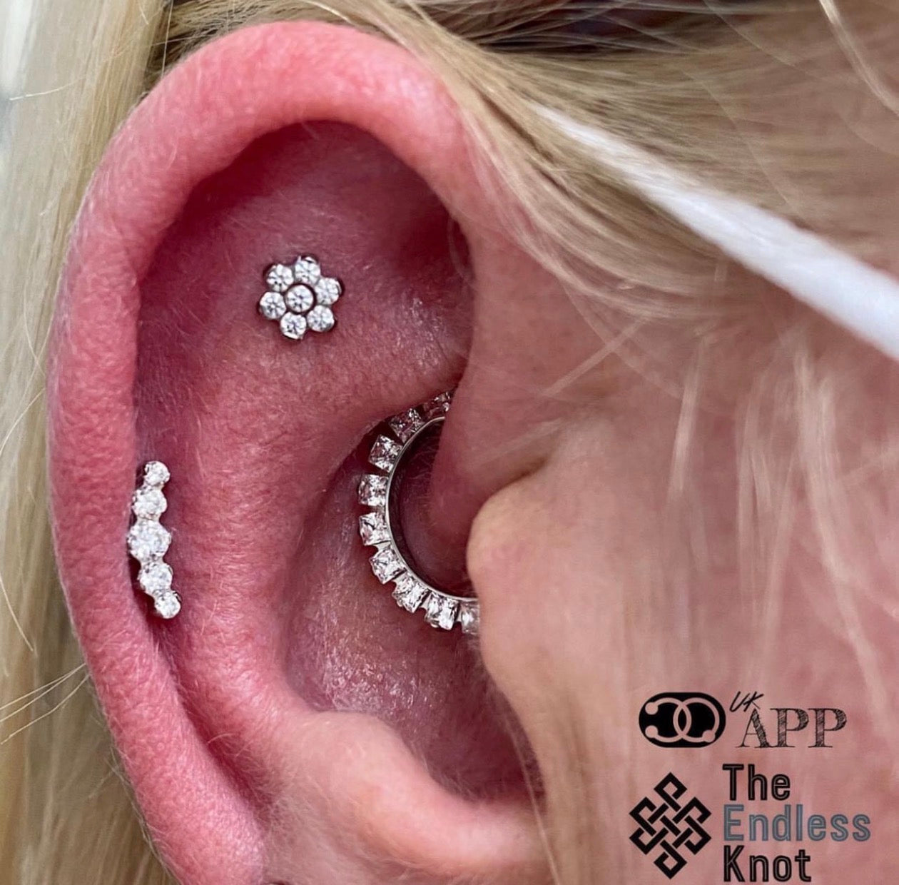 Oorkraakbeen (met labret)