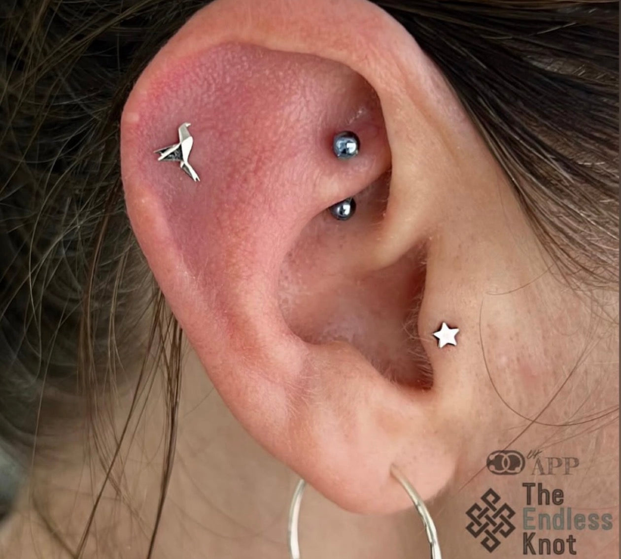 Curved barbell in ear