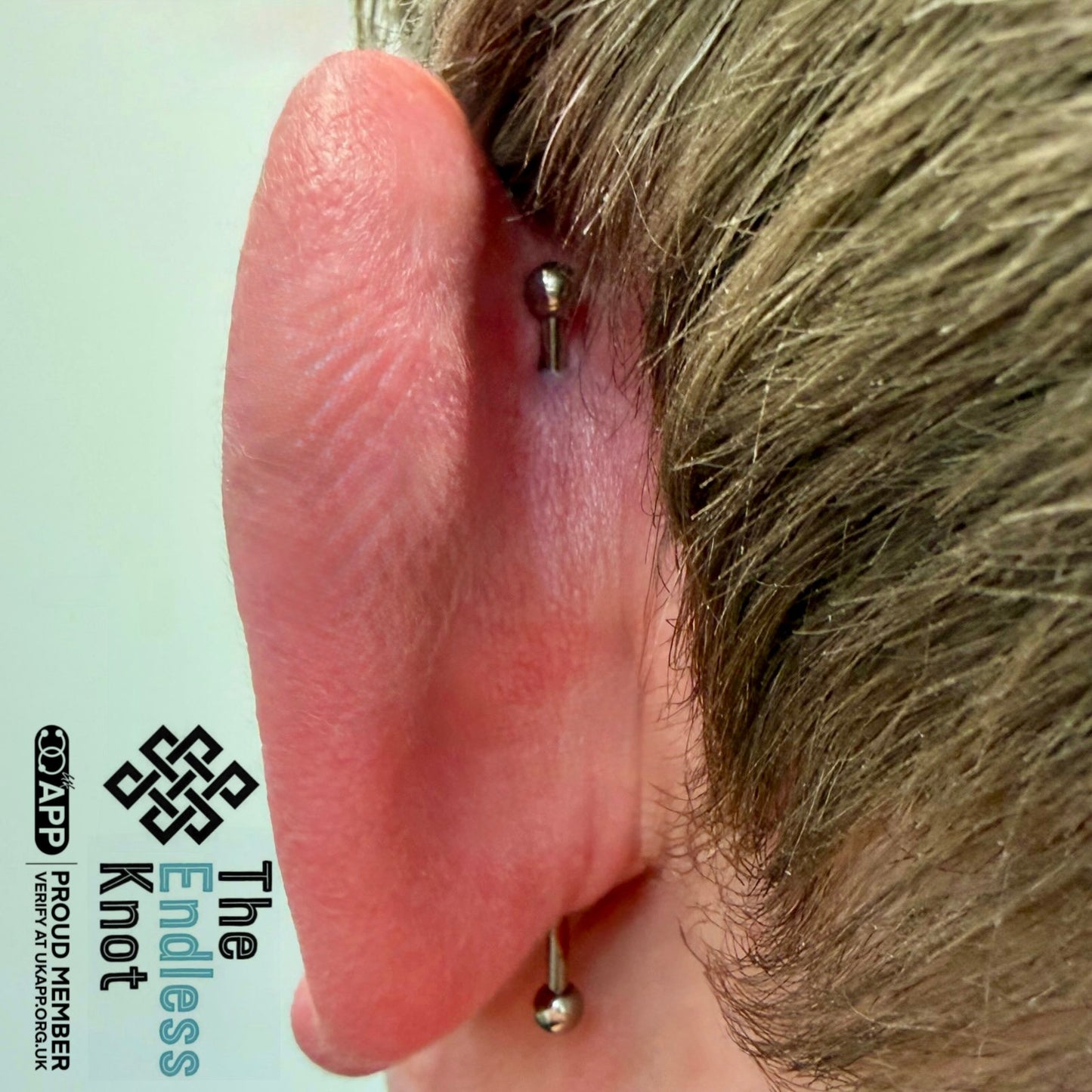 Straight barbell in ear ￼
