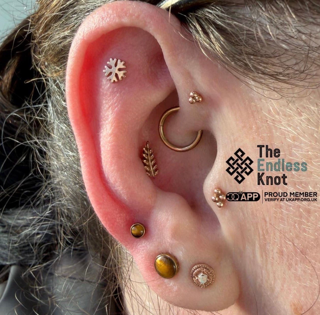 Oorkraakbeen (met labret)