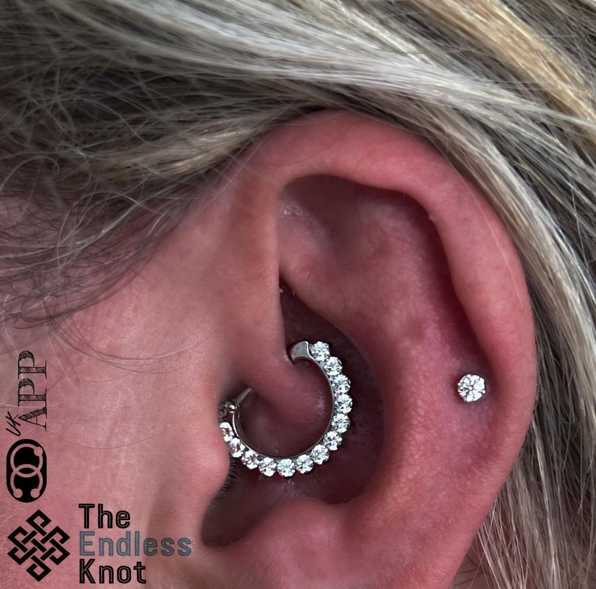 Gold Prong CZ