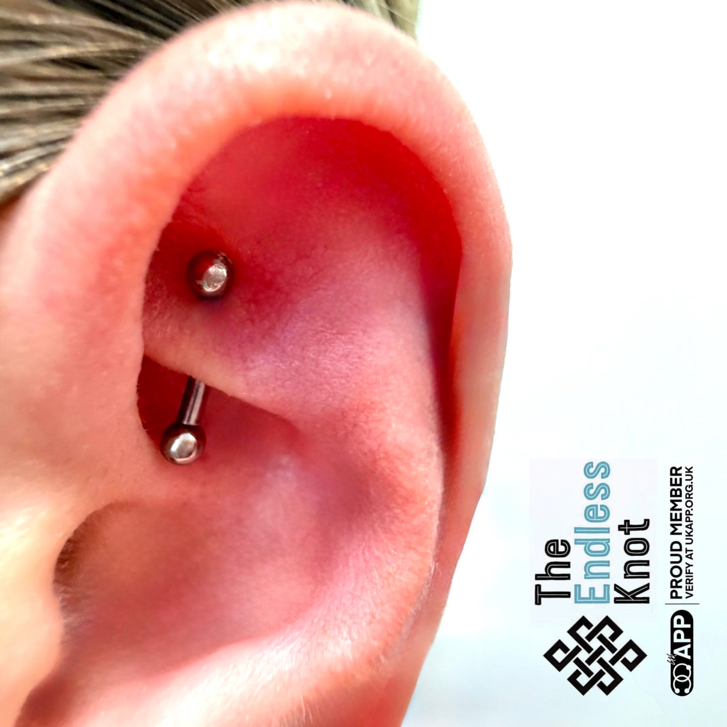Ear cartilage (with labret)