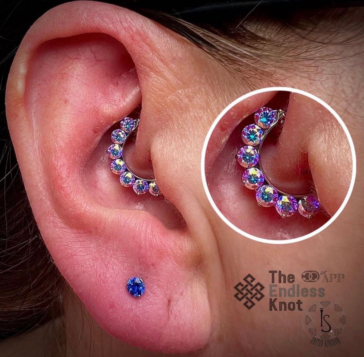 Septum / Daith