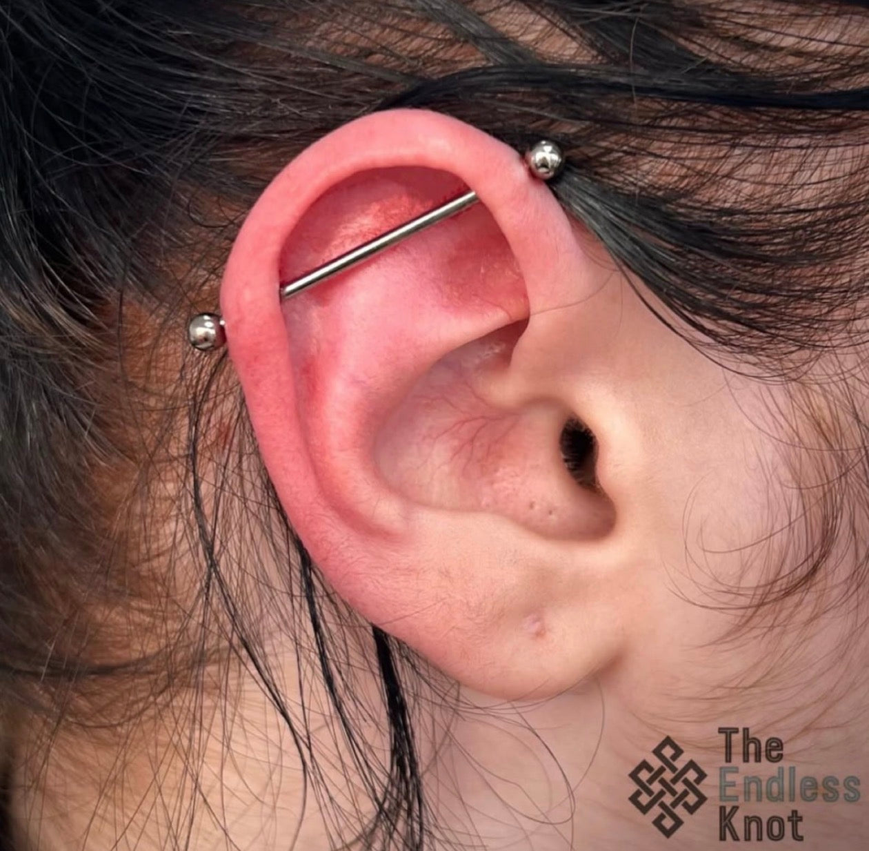 Straight barbell in ear ￼