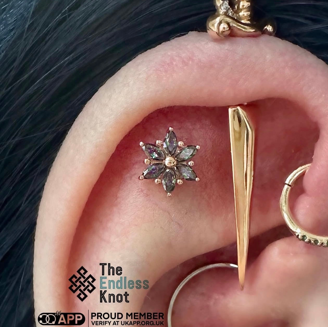 Oorkraakbeen (met labret)