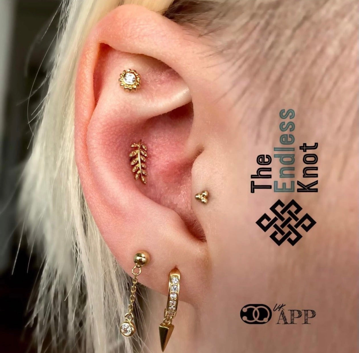 Oorkraakbeen (met labret)
