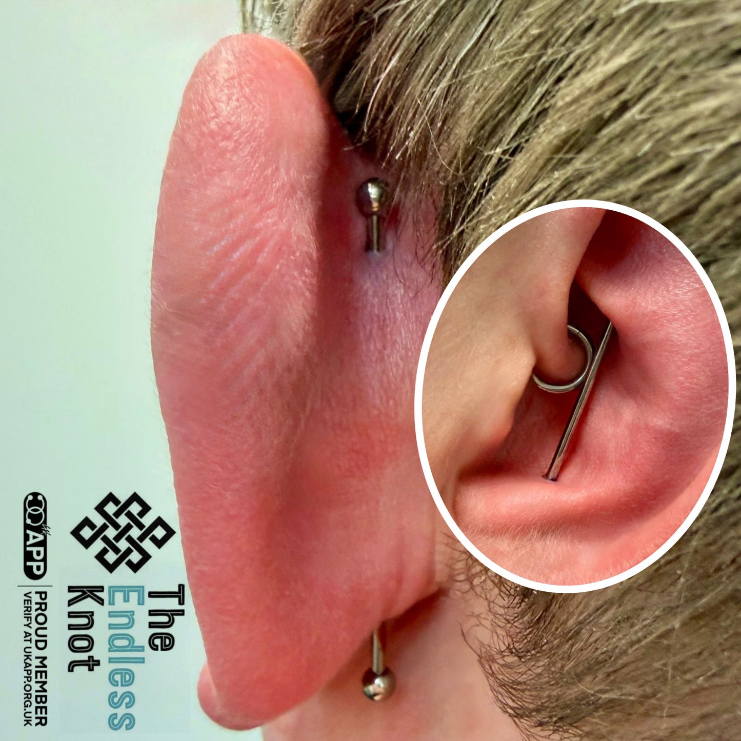 Straight barbell in ear ￼