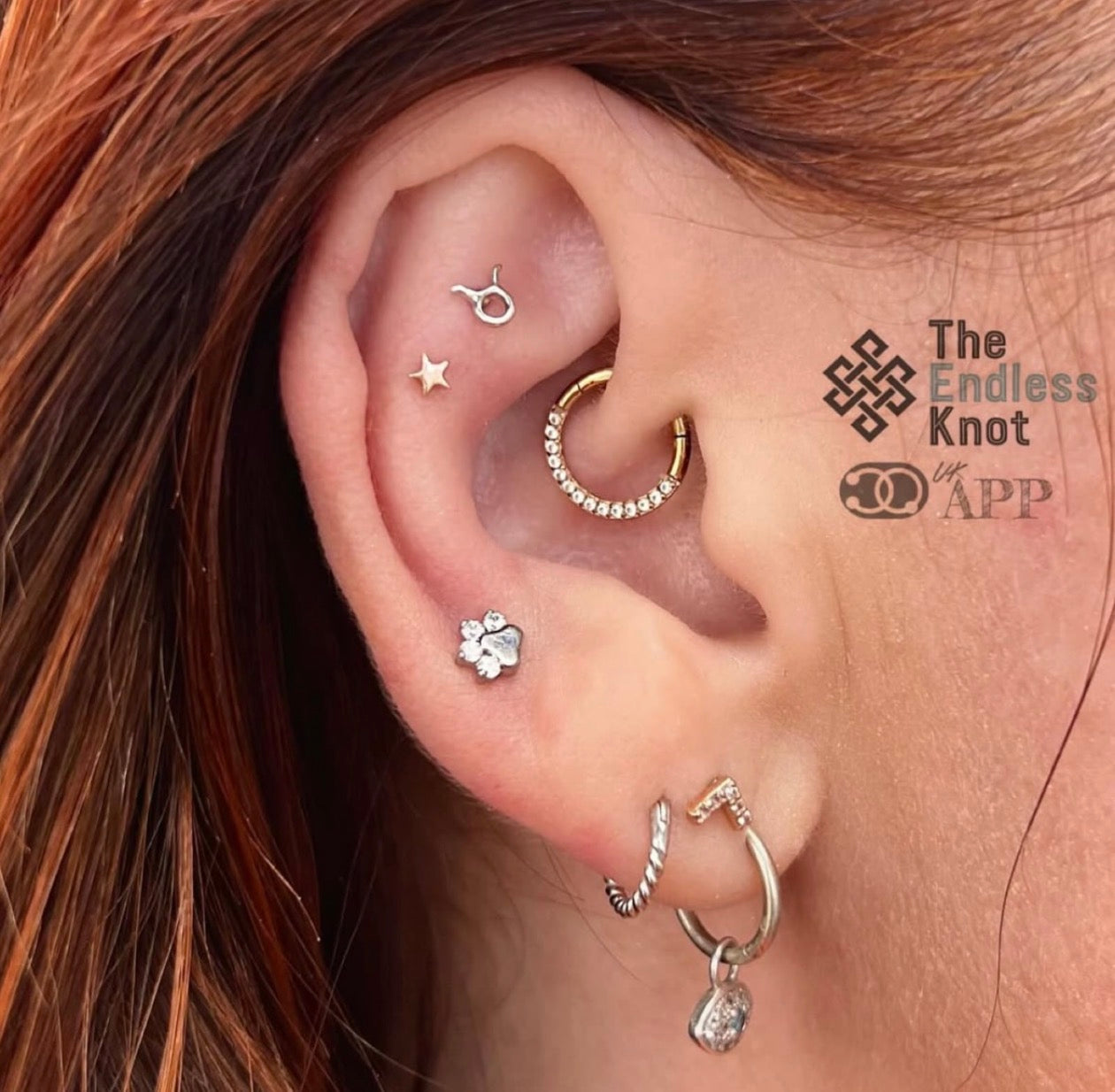 Septum / Daith
