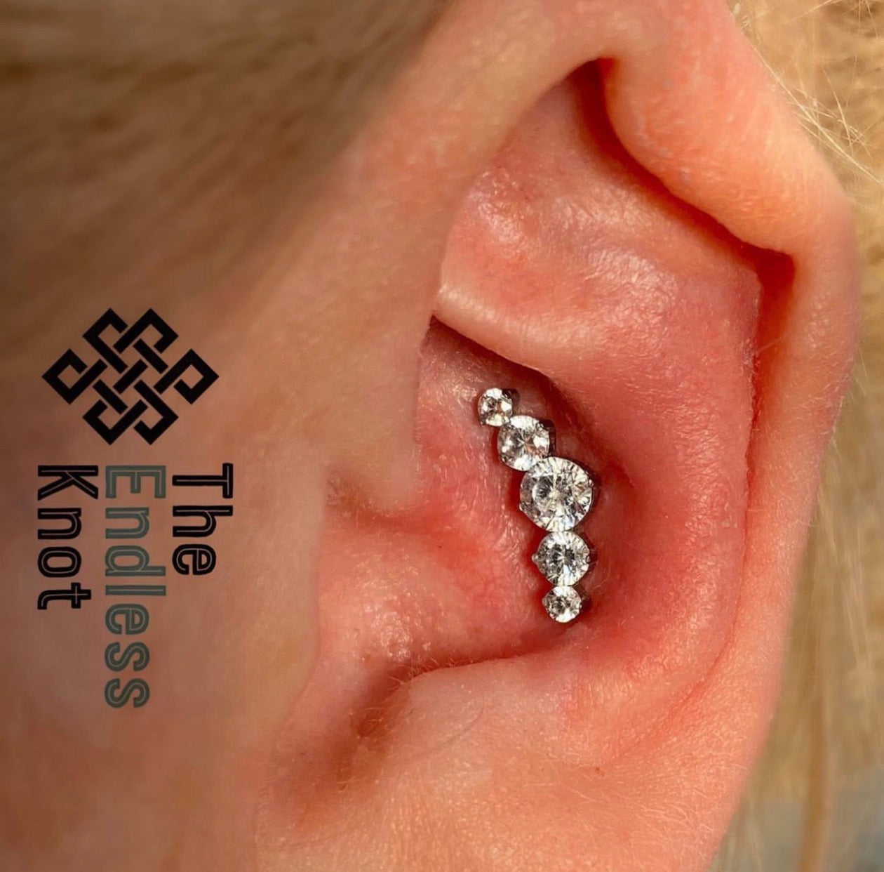 Oorkraakbeen (met labret)