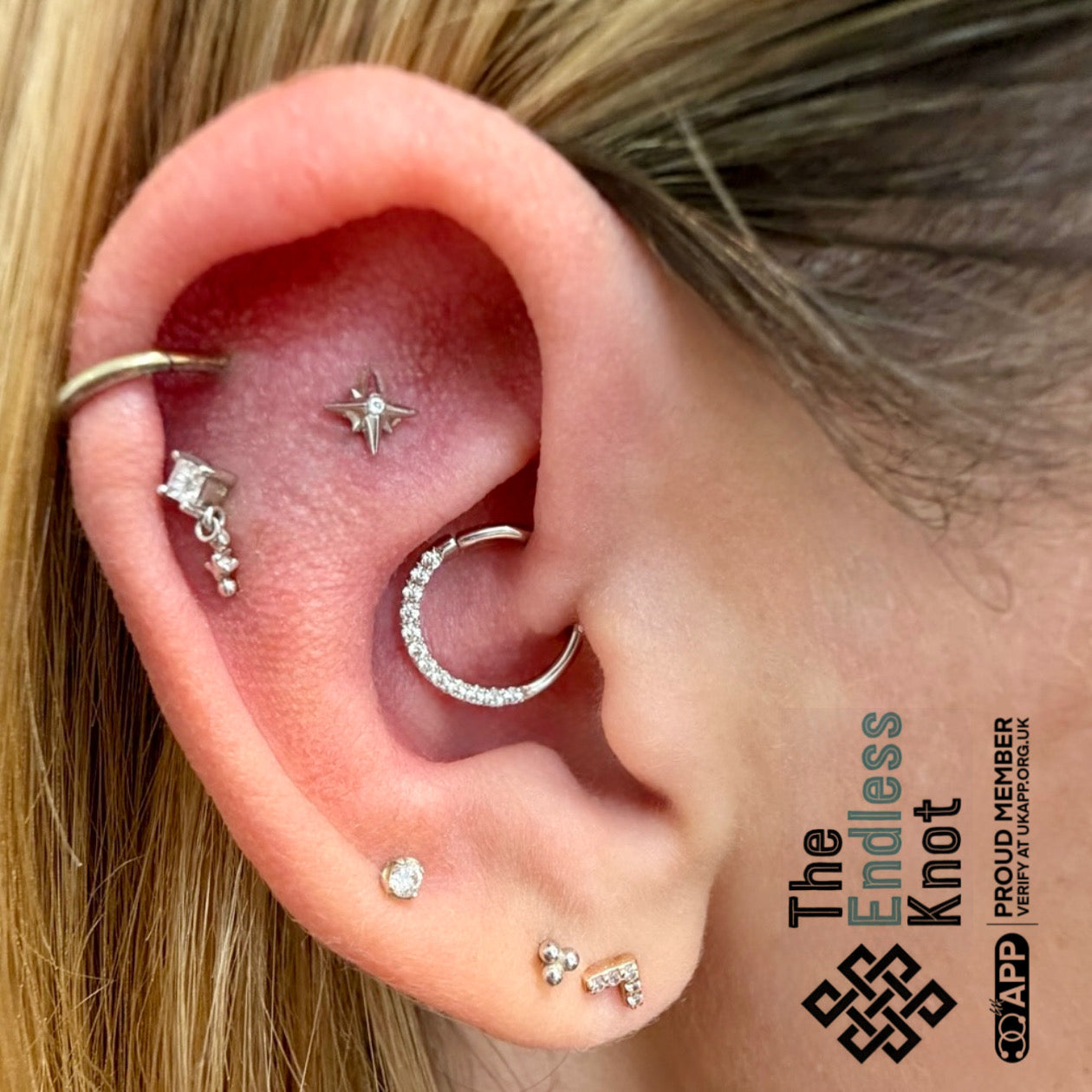 Septum / Daith