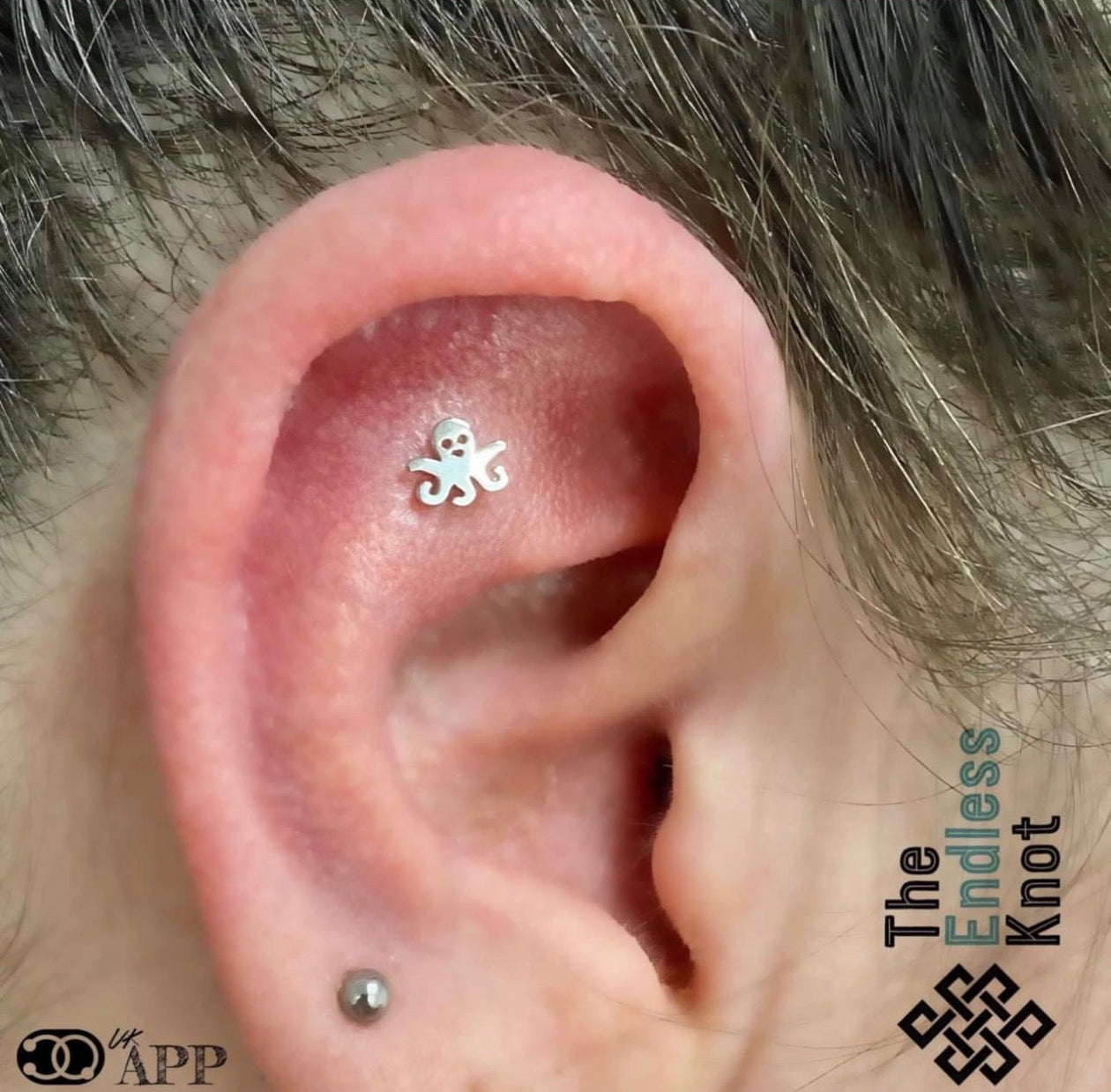 Oorkraakbeen (met labret)