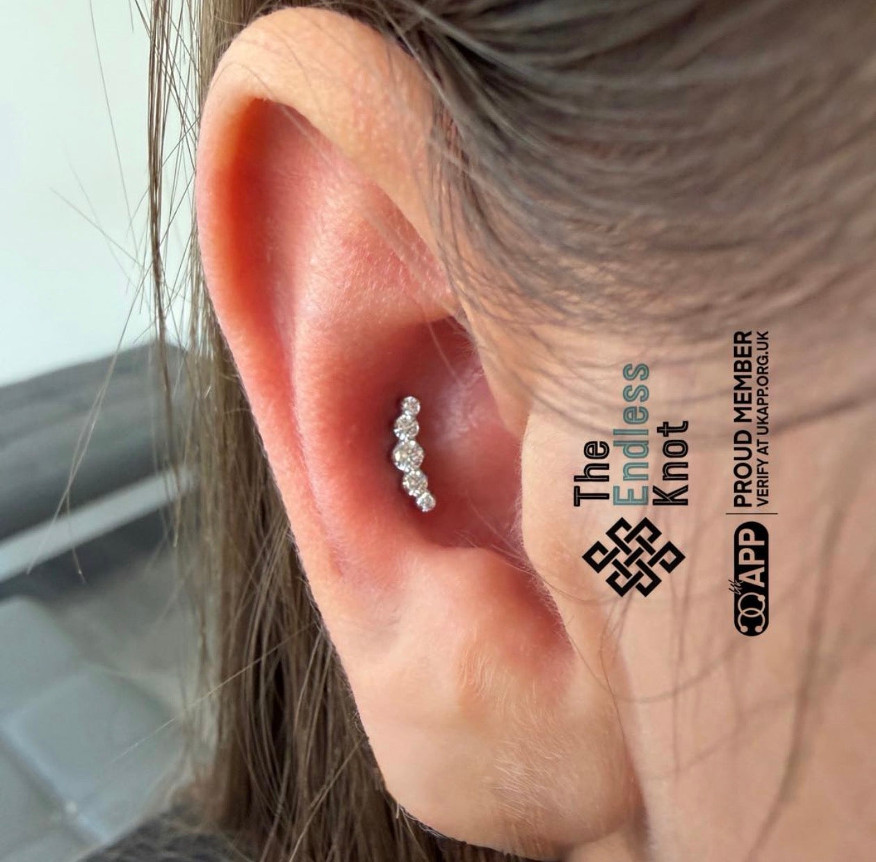 Oorkraakbeen (met labret)
